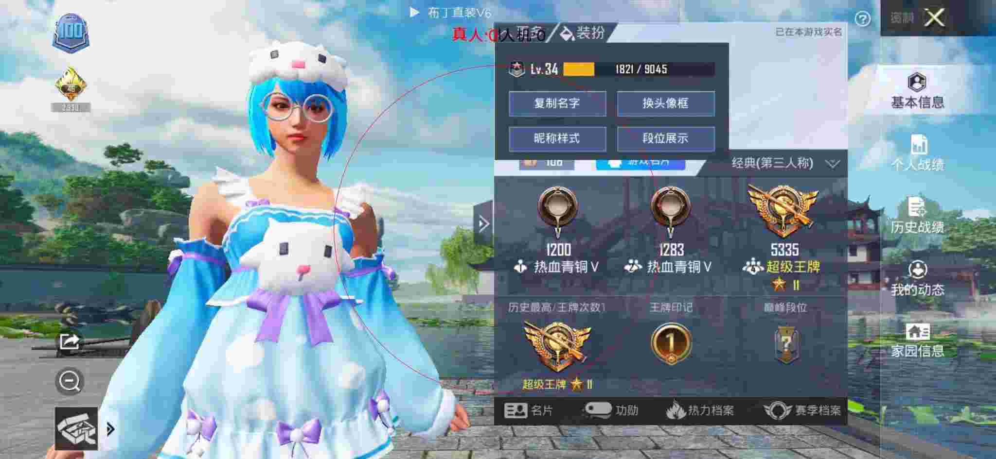 和平精英布丁直装透视 - 和平辅助店卡包效果图大全图片辅助预览图